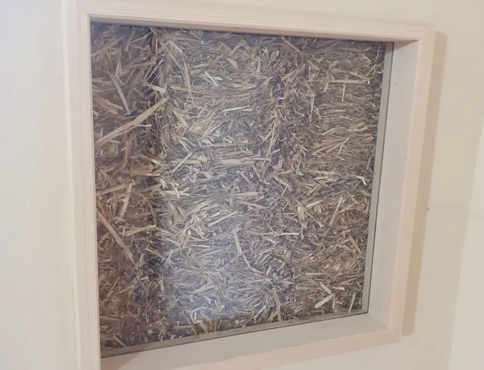 Detailaufnahme einer Wand mit einem quadratischen Sichtfenster, das eine Strohballendämmung zeigt. Das Sichtfeld ist von einem hellen Holzrahmen eingefasst und dient zur Veranschaulichung des ökologischen Wandaufbaus.
